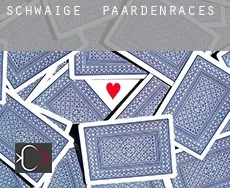 Schwaige  paardenraces