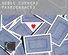 Sebec Corners  paardenraces
