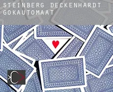 Steinberg-Deckenhardt  gokautomaat