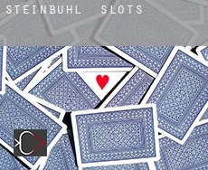Steinbühl  slots