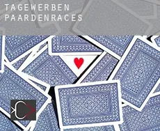 Tagewerben  paardenraces