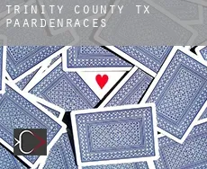 Trinity County paardenraces