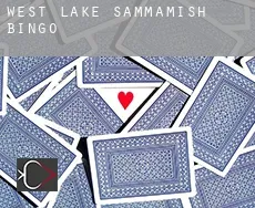 West Lake Sammamish bingo