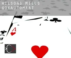 Wilsons Mills  gokautomaat