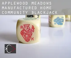 Applewood Meadows Manufactured Home Community  blackjack