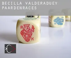 Becilla de Valderaduey paardenraces
