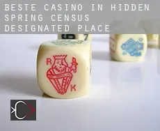 Beste casino in  Hidden Spring