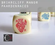 Briarcliff Manor  paardenraces