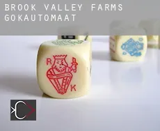 Brook Valley Farms  gokautomaat