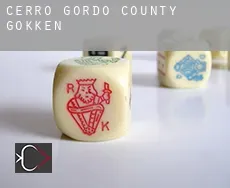 Cerro Gordo County  gokken