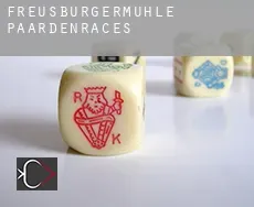 Freusburgermühle paardenraces