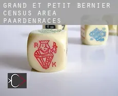 Grand-et-Petit-Bernier (census area)  paardenraces