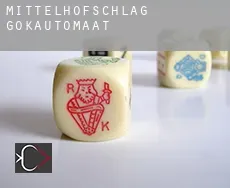 Mittelhofschlag gokautomaat
