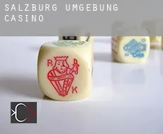 Politischer Bezirk Salzburg Umgebung  casino