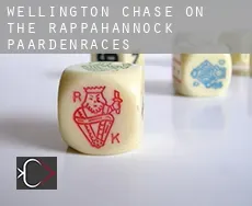 Wellington Chase on the Rappahannock  paardenraces