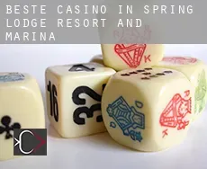 Beste casino in  Spring Lodge Resort and Marina
