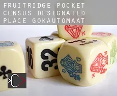 Fruitridge Pocket  gokautomaat