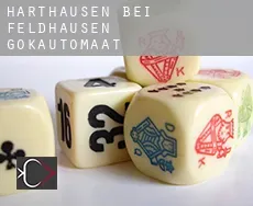 Harthausen bei Feldhausen gokautomaat