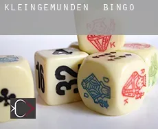 Kleingemünden bingo