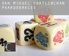 San Miguel Coatlinchán paardenraces