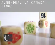 Almendral de la Cañada  bingo
