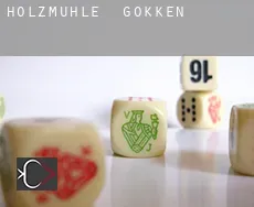 Holzmühle  gokken