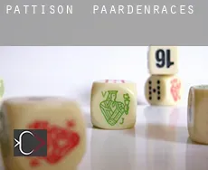 Pattison  paardenraces