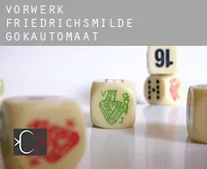 Vorwerk Friedrichsmilde  gokautomaat