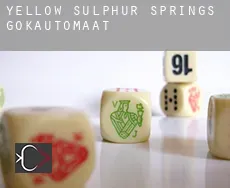 Yellow Sulphur Springs  gokautomaat
