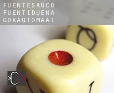 Fuentesaúco de Fuentidueña  gokautomaat