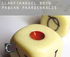 Llanfihangel-Bryn-Pabuan  paardenraces