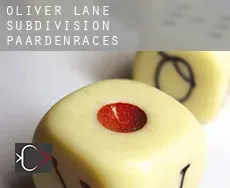 Oliver Lane Subdivision  paardenraces