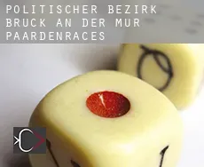 Politischer Bezirk Bruck an der Mur  paardenraces