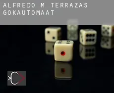 Alfredo M. Terrazas  gokautomaat