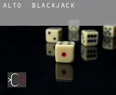 Alto blackjack