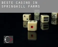 Beste casino in Springhill Farms