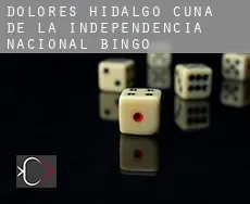 Dolores Hidalgo Cuna de la Independencia Nacional  bingo