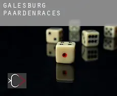 Galesburg  paardenraces