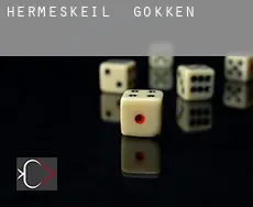 Hermeskeil gokken
