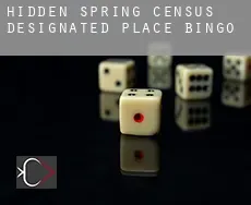 Hidden Spring  bingo