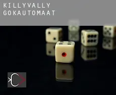 Killyvally gokautomaat