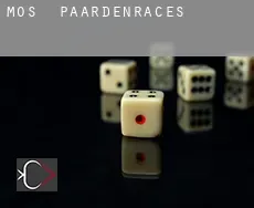 Mos  paardenraces