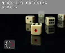 Mosquito Crossing  gokken