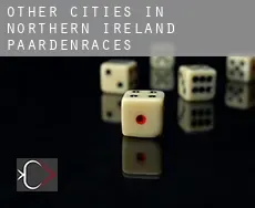 Other cities in Northern Ireland  paardenraces