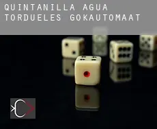 Quintanilla del Agua y Tordueles  gokautomaat