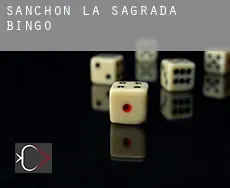Sanchón de la Sagrada  bingo