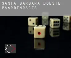 Santa Bárbara d'Oeste paardenraces