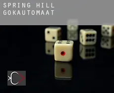 Spring Hill  gokautomaat