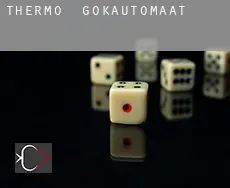 Thermo gokautomaat