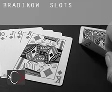Brädikow  slots